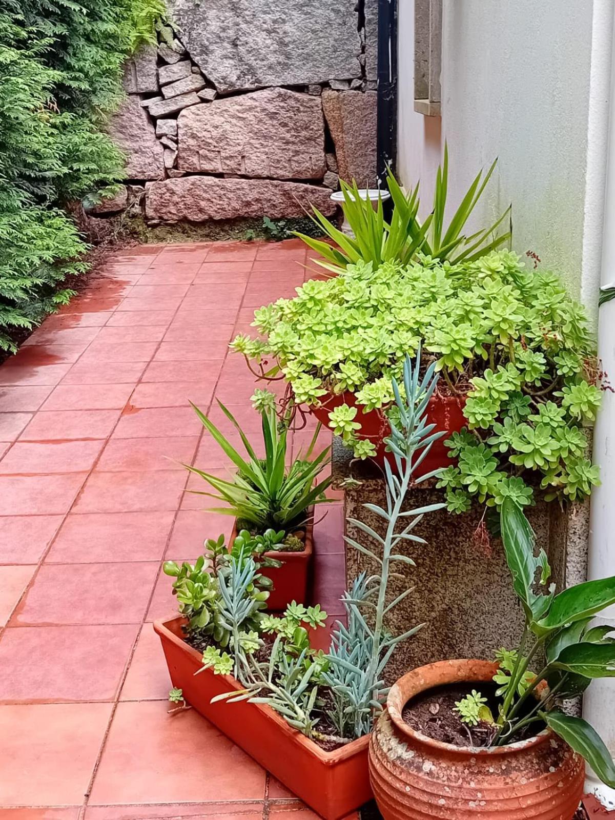 Vila Vivienda Con Jardin Terraza Y Barbacoa Picona Exteriér fotografie
